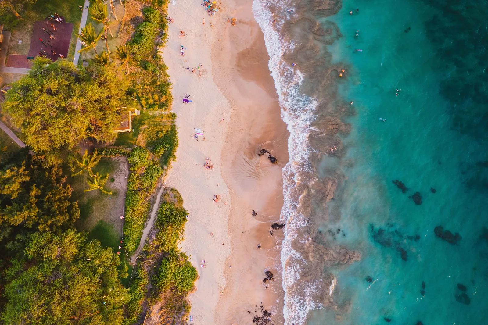 Aerial view of a tropical beach with turquoise water in Maui, Hawaii