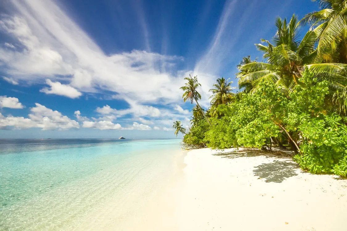 All Inclusive Resorts