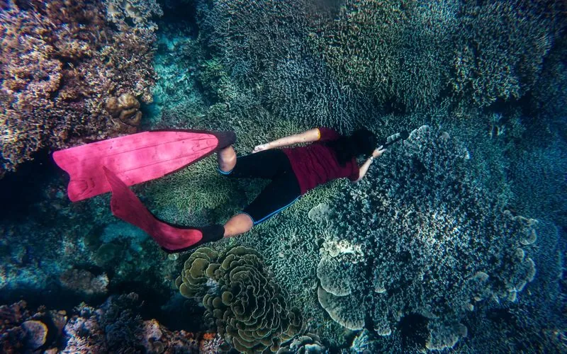 Snorkeling underwater over a vibrant coral reef