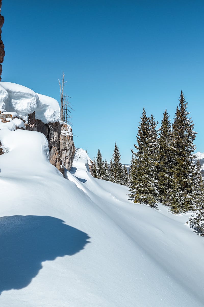 Stunning winter view of snow-covered Rocky Mountains and trees in Vail, Colorado.